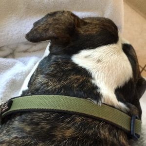 Meet your Posher, Lucretia